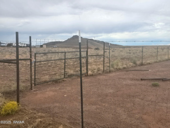 8000 McDonald Lane, Woodruff, Arizona 85942, ,Land,For Sale,McDonald Lane,258115