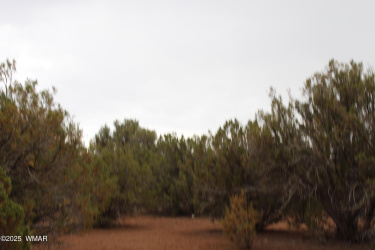 Sec 8 T11N, R22E:, White Mountain Lake, Arizona 85912, ,Land,For Sale,T11N, R22E:,258102