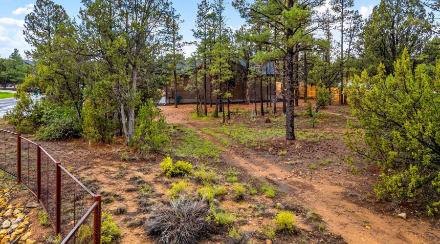 2800NEagleViewCir-ShowLow-AZ-3