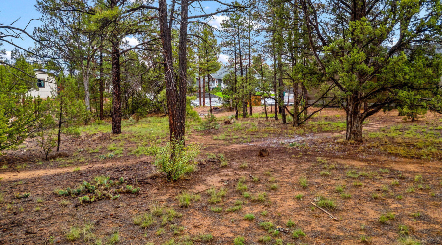 2800NEagleViewCir-ShowLow-AZ-2