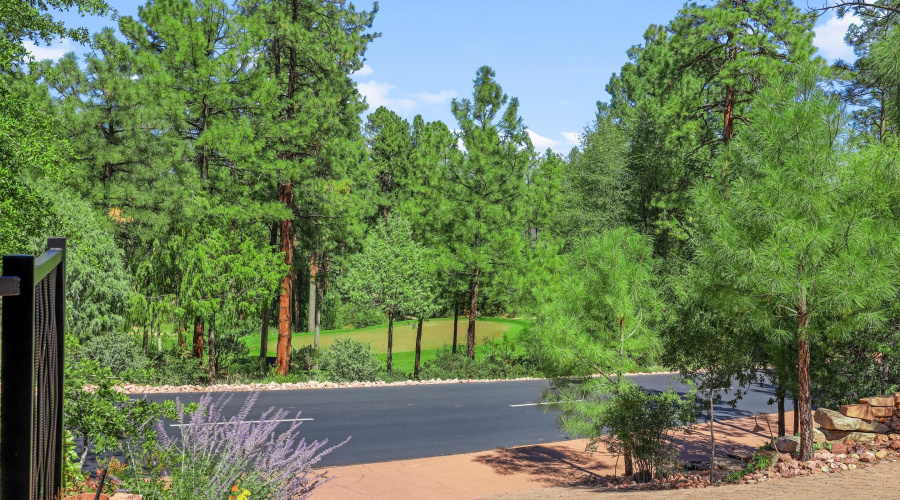 View of 14th Green from Home