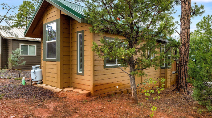 Back/Side View of Home