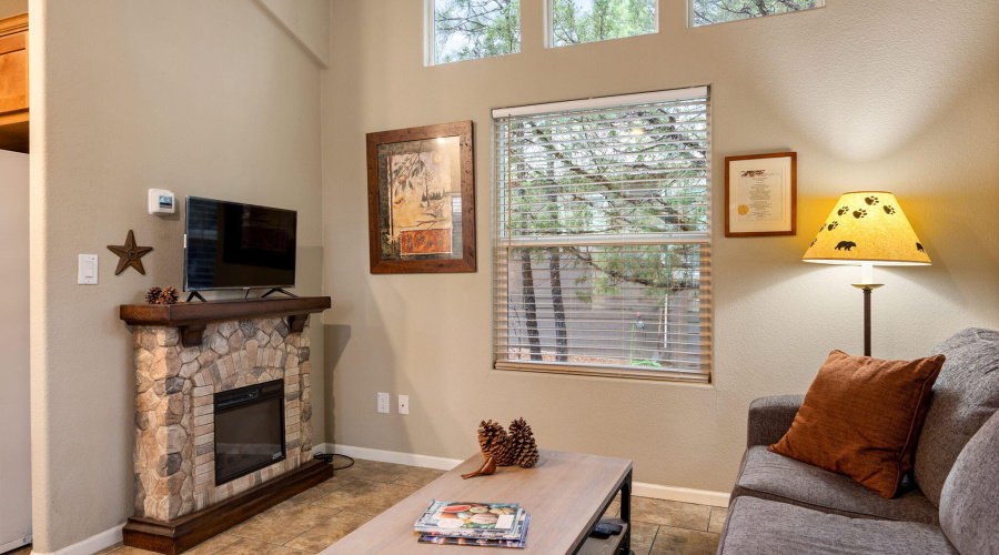 Fireplace in Living Room