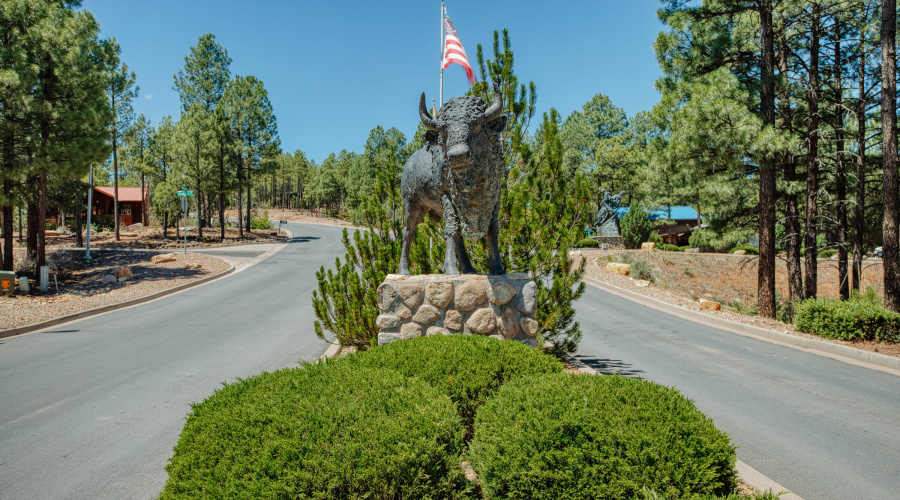 Luxury Twin Home - Bison Ridge