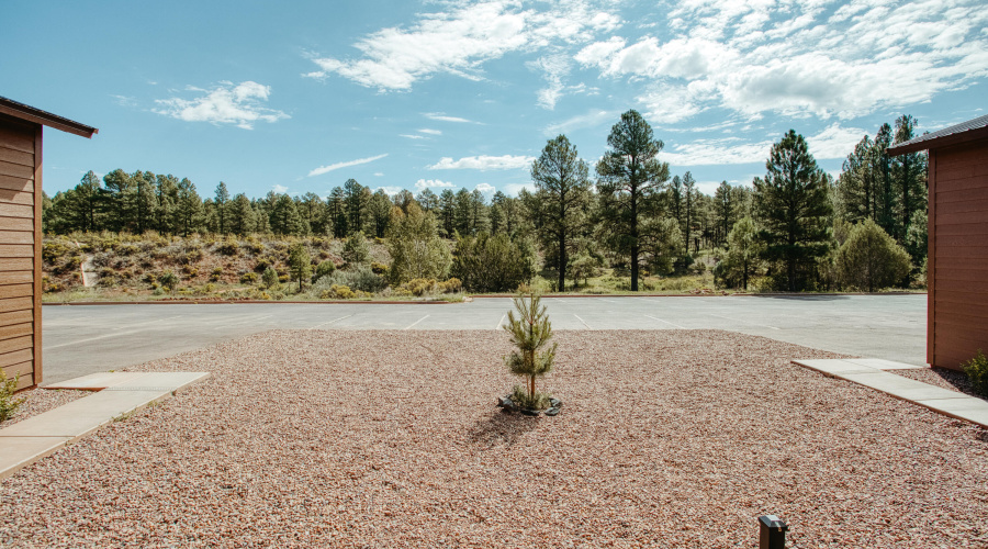 Bison Ridge - Luxury Twin Homes