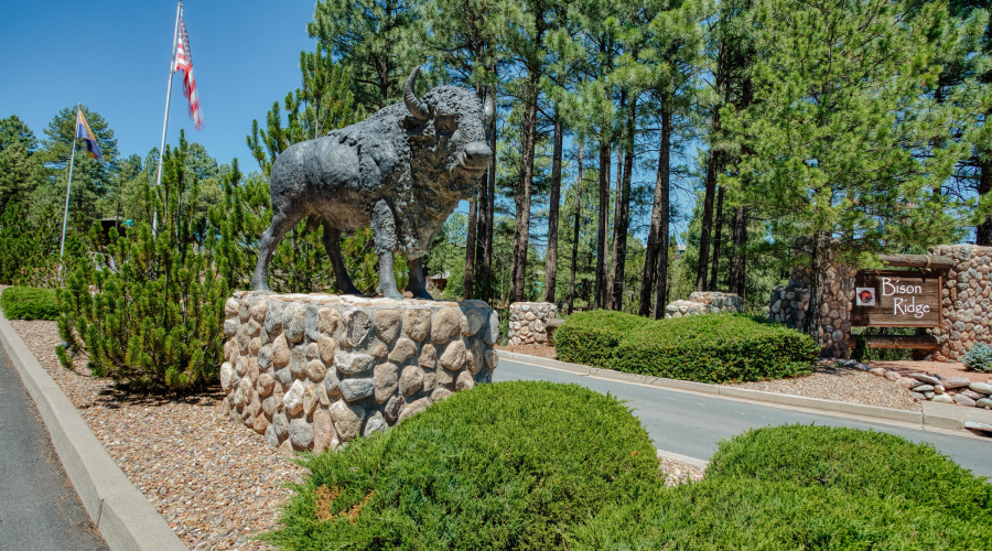 Bison Ridge - Luxury Twin Homes