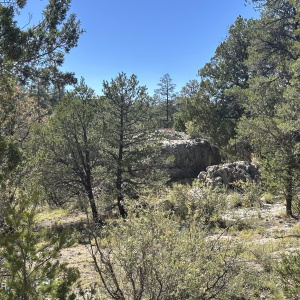 3673 Pine Rim