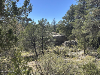 3673 Pine Rim Drive, Overgaard, Arizona 85933, ,Land,For Sale,Pine Rim,258119