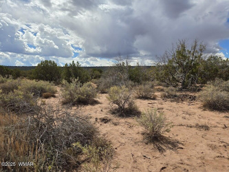4012 Colt Road, Snowflake, Arizona 85937, ,Land,For Sale,Colt,258126
