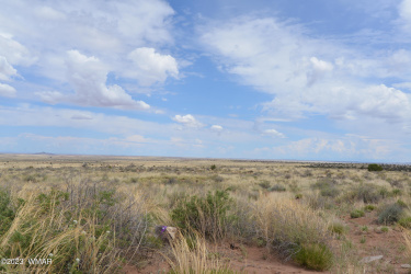 8181 Uttecht Trail, Snowflake, Arizona 85937, ,Land,For Sale,Uttecht,253522