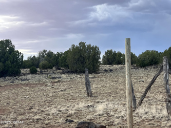 9058 Pinto Trail, Show Low, Arizona 85901, ,Land,For Sale,Pinto,258129