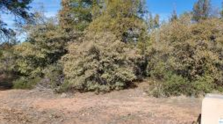 20200206000611657508000000