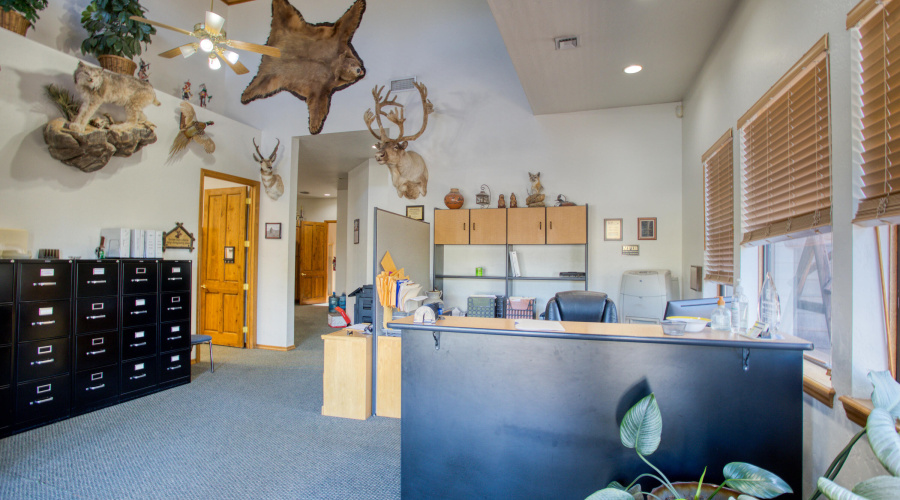 Paxmanphoto_PAX_6055