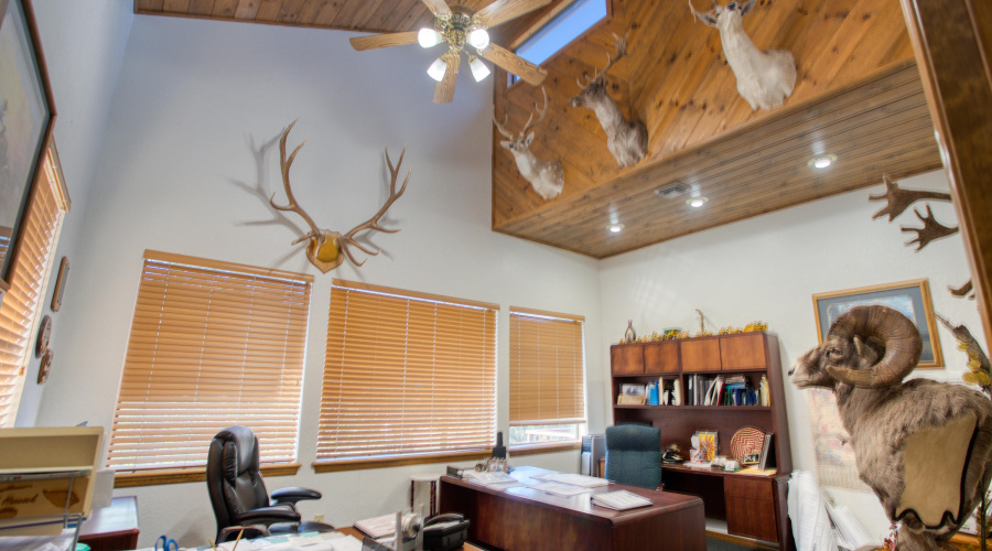 Paxmanphoto_PAX_6043