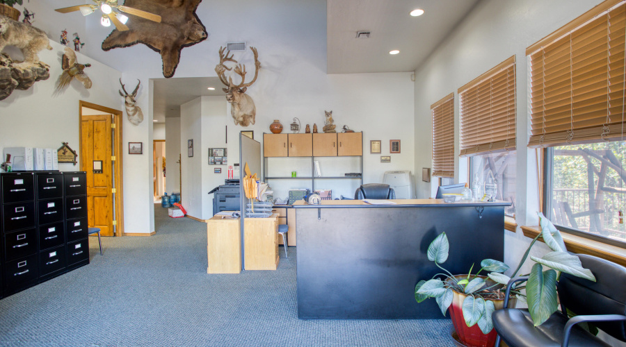 Paxmanphoto_PAX_6040