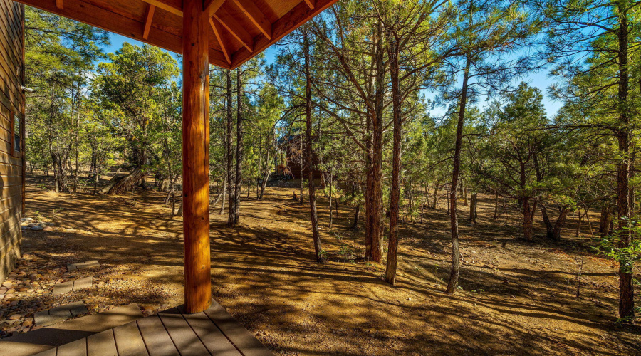 1600SVineMapleLn-ShowLow-AZ-26