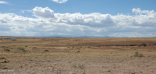 49 County Road 6032, St. Johns, Arizona 85936, ,Land,For Sale,County Road 6032,258155