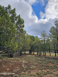 1454 Low Mountain Trail, Heber, Arizona 85928, ,Land,For Sale,Low Mountain,258150