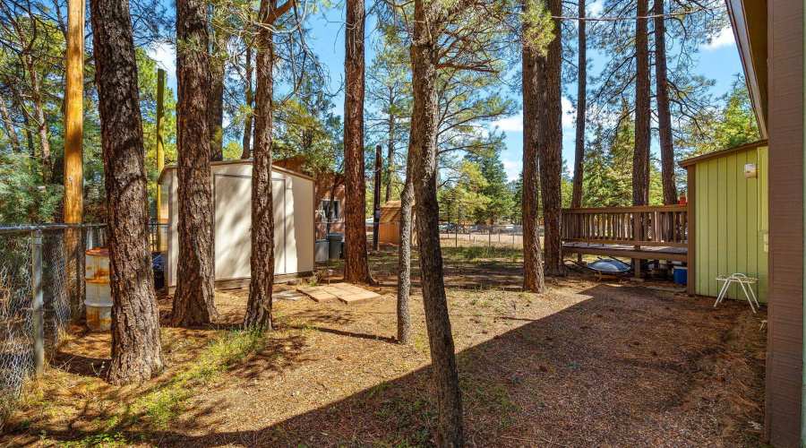 2867PineRimRd-HeberOvergaard-AZ-23