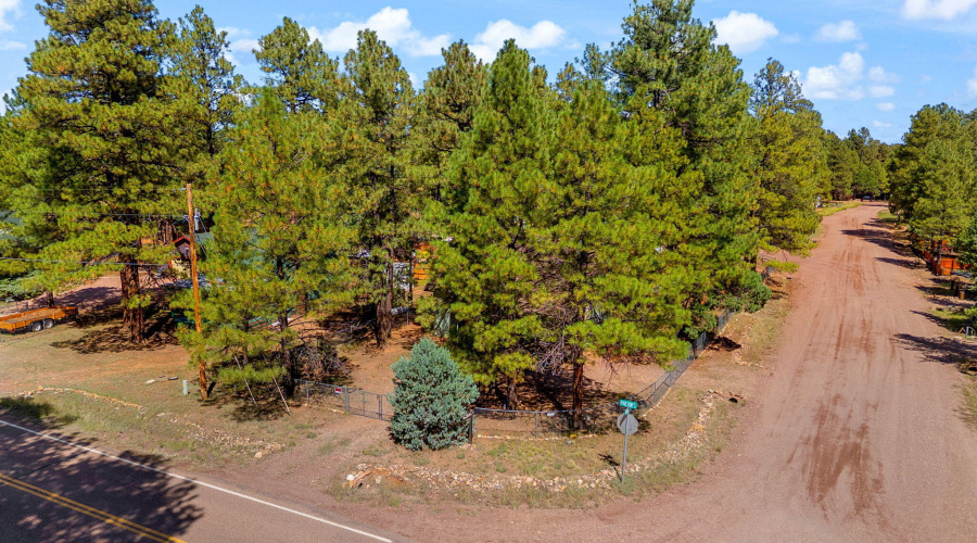 2867PineRimRd-HeberOvergaard-AZ-25