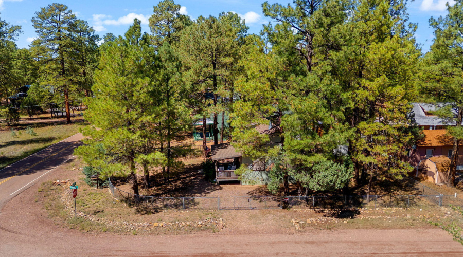 2867PineRimRd-HeberOvergaard-AZ-26