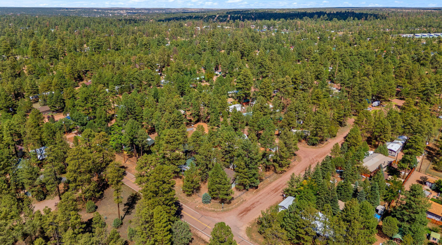 2867PineRimRd-HeberOvergaard-AZ-27