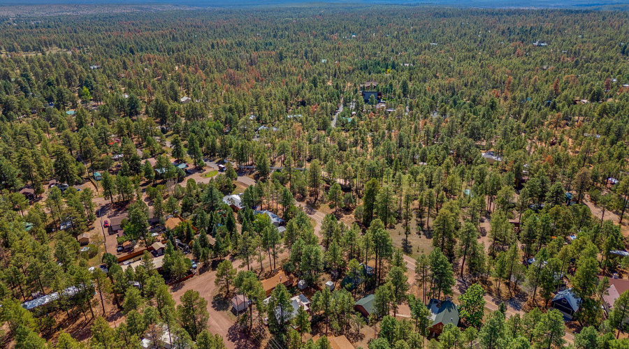 2867PineRimRd-HeberOvergaard-AZ-28