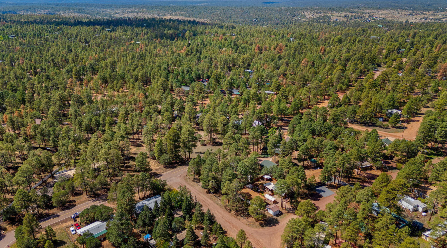 2867PineRimRd-HeberOvergaard-AZ-29