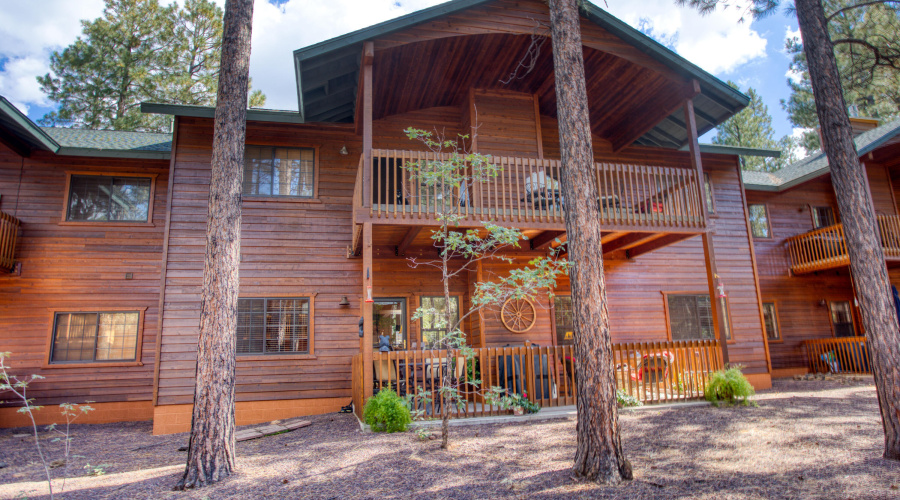 Paxmanphoto_PAX_4797