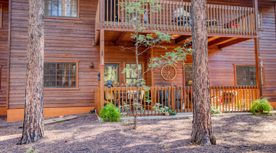 Paxmanphoto_PAX_4801