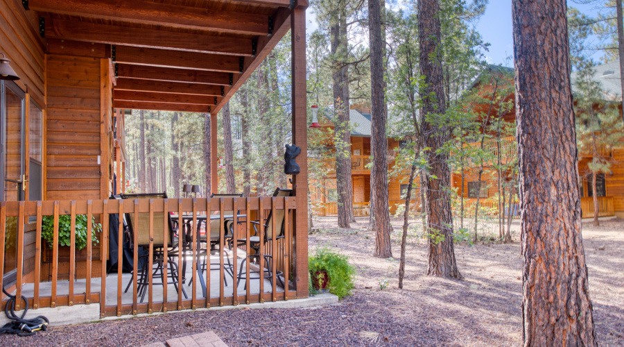 Paxmanphoto_PAX_4796