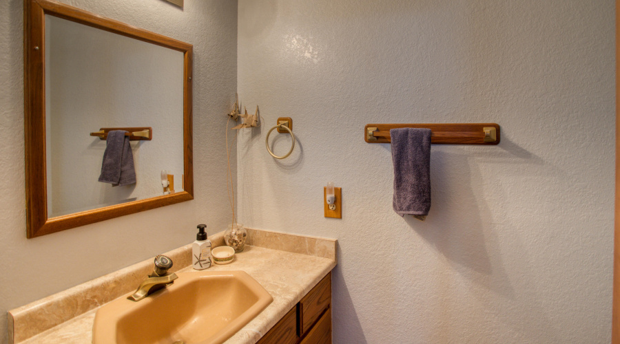 Paxmanphoto_PAX_3402