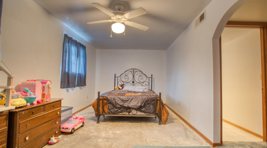 Paxmanphoto_PAX_3434