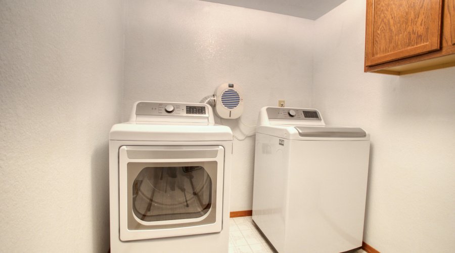 Paxmanphoto_PAX_3439