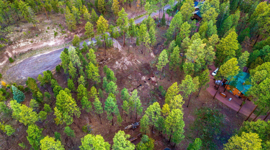 Parcel10172028-AlpineAZ-6