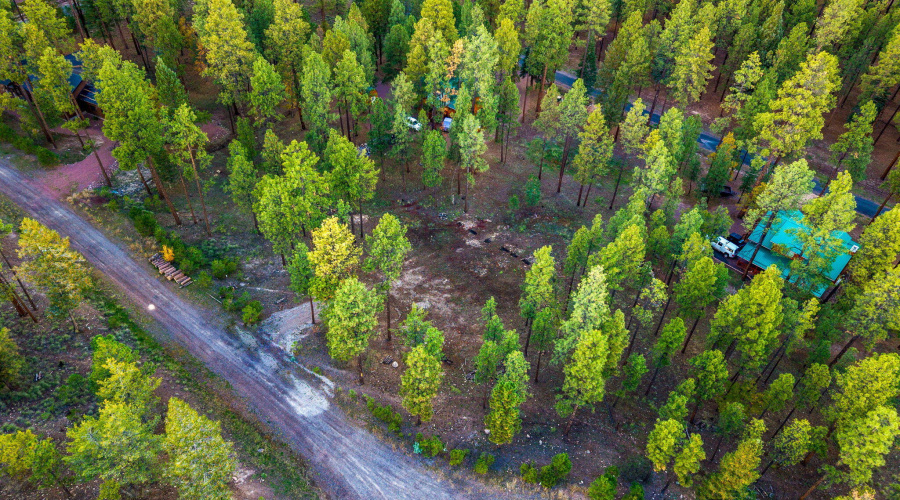 Parcel10172028-AlpineAZ-7