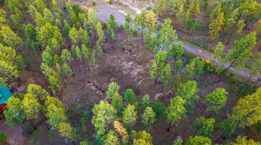 Parcel10172028-AlpineAZ-10