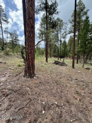 7 Eric lane, Alpine, Arizona 85920, ,Land,For Sale,Eric lane,258160