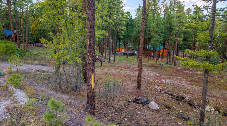 Parcel10172028-AlpineAZ-11