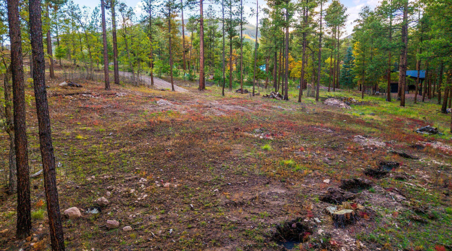 Parcel10172028-AlpineAZ-13