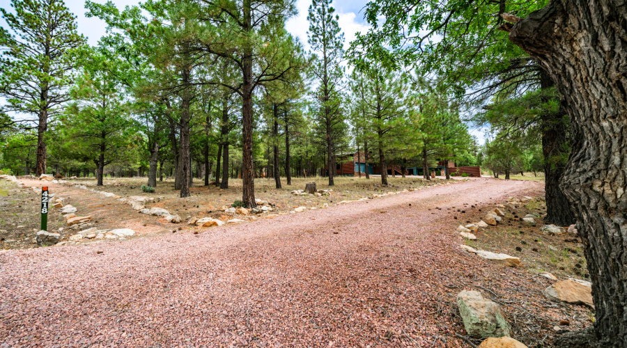 4218 Stargazer Dr Exterior Photos-30