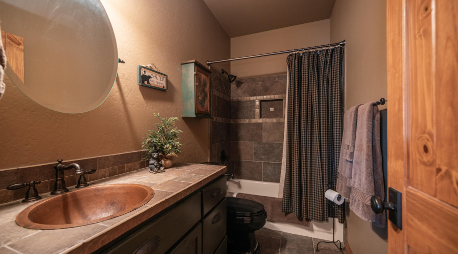 4218 Stargazer Dr Interior Photos-20