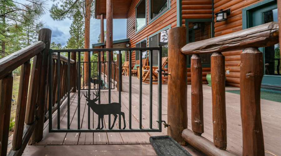 4218 Stargazer Dr Exterior Photos-12