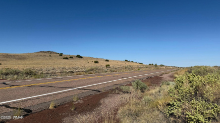 0 US Highway 180, Concho, Arizona 85924, ,Land,For Sale,US Highway 180,258162