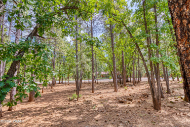 4063 Bridle Path Circle, Pinetop, Arizona 85935, ,Land,For Sale,Bridle Path,252961
