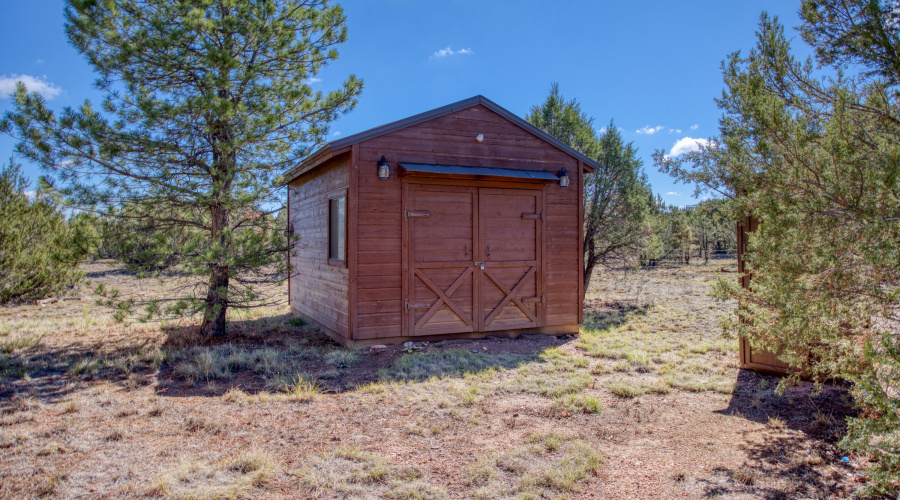 Paxmanphoto_PAX_3500