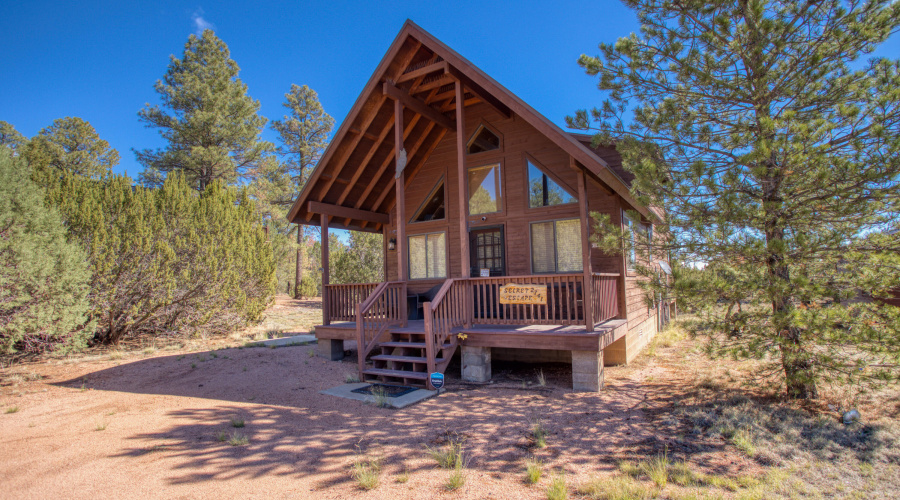 Paxmanphoto_PAX_3498