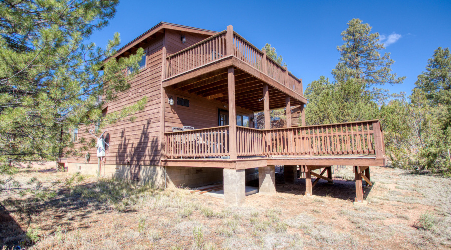 Paxmanphoto_PAX_3503