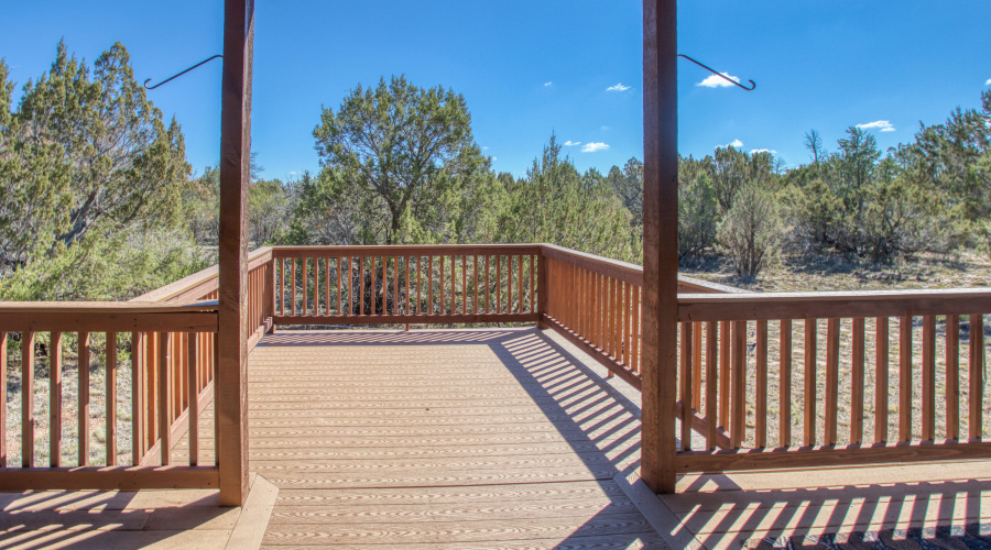 Paxmanphoto_PAX_3489