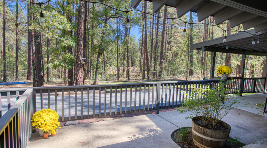 Paxmanphoto_PAX_5057